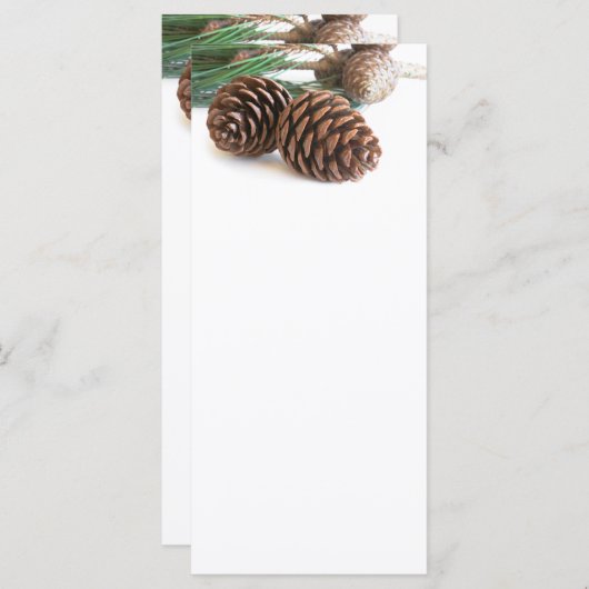 Pijntakjes en -kegels (Voorkant / Achterkant)