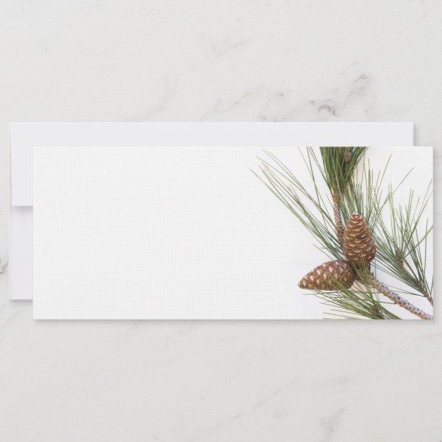 Pijntakjes en -kegels (Voorkant)