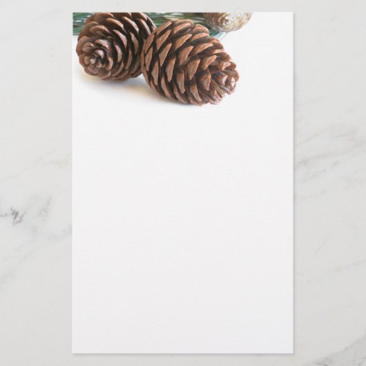 Pijntakjes en -kegels briefpapier (Voorkant)