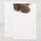 Pijntakjes en -kegels briefpapier (Voorkant / Achterkant)