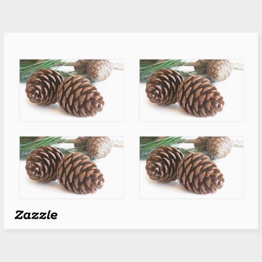 Pijntakjes en -kegels rechthoekige sticker (Vel)