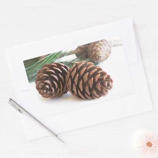 Pijntakjes en -kegels rechthoekige sticker (Envelop)