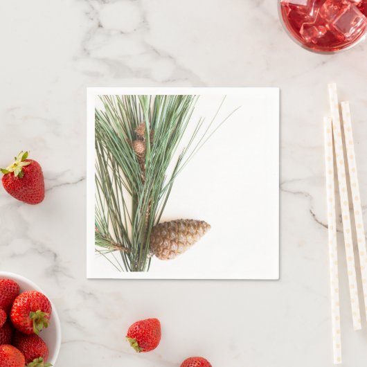 Pijntakjes en -kegels servetten (Insitu)