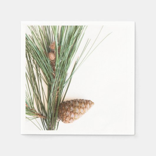 Pijntakjes en -kegels servetten (Voorkant)