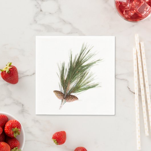 Pijntakjes en -kegels servetten (Insitu)