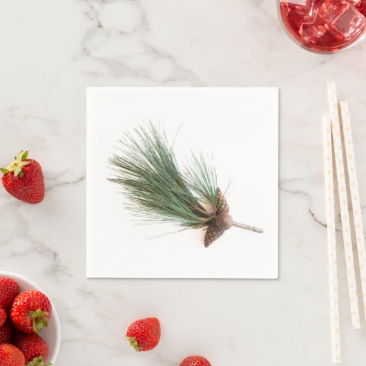 Pijntakjes en -kegels servetten (Insitu)