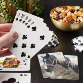 Pijnvormig paard verven speelkaarten (Insitu)