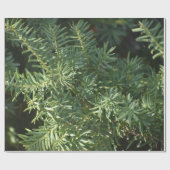 Pijnwrakkenpapier Cadeaupapier (Vlak)