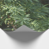 Pijnwrakkenpapier Cadeaupapier (Hoek)