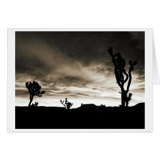 Pijpen Canyon (Voorkant Horizontaal)