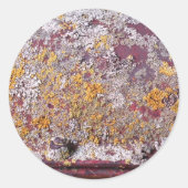 pijpgroei-sticker ronde sticker (Voorkant)