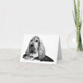 pijphond kaart (Voorkant)