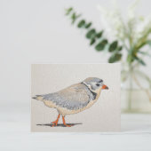 Pijpklaver Briefkaart (Staand voorkant)