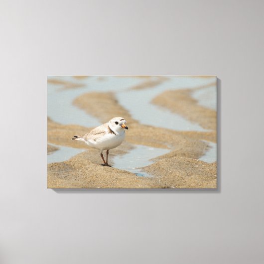 Pijpklaver Canvas Afdruk (Voorkant)