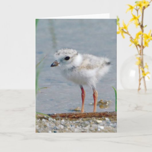 Pijpklaver Kaart (Gele Bloem)