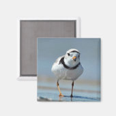 Pijpklaver Magneet (Voorkant / Achterkant)