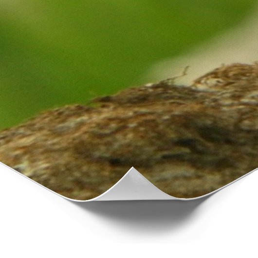 Pijpklaver Poster (Hoek)