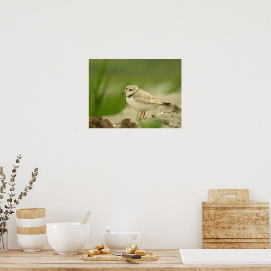 Pijpklaver Poster (Keuken)