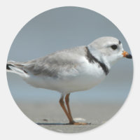 Pijpklaver
