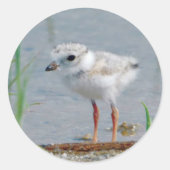 Pijpklaver Ronde Sticker (Voorkant)