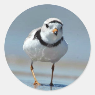 Pijpklaver Ronde Sticker