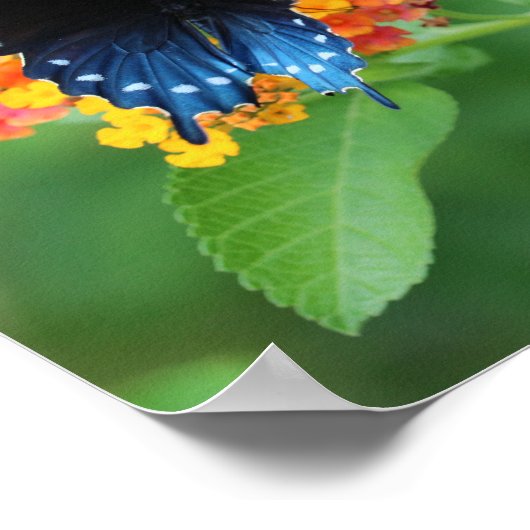 Pijpleiding/Blauwe Zwavelstaaf op een ventilator Poster (Hoek)