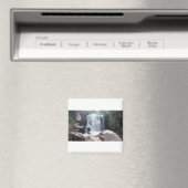 Pijpleiding. Magneet (Insitu (Vaatwasser))