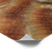 Pijpleiding op Brain Coral Poster (Hoek)