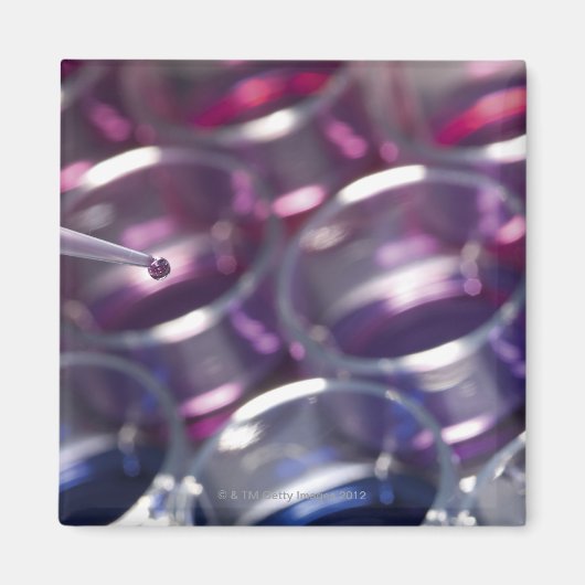 Pijpleidingen en petrischaaltjes met vloeistoffen magneet (Voorkant)