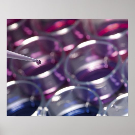 Pijpleidingen en petrischaaltjes met vloeistoffen poster (Voorkant)