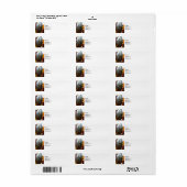 Pijpleidingen Etiket (Full Sheet)