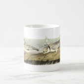 Pijpliefhebber, John Audubon Koffiemok (Center)