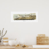 Pijpliefhebber, John Audubon Poster (Keuken)