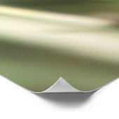 Pijppijlstaafbuikvlinder Poster (Hoek)