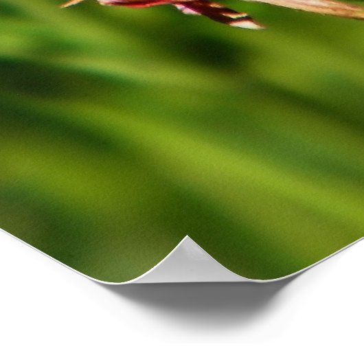 Pijpvormige zandloper poster (Hoek)