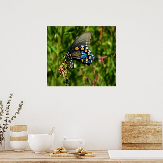 Pijpvormige zandloper poster (Keuken)