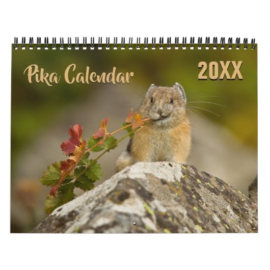 PIka 2026 Calendar Kalender (Hoes)