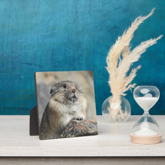 Pika Desktop Plaque Fotoplaat (Insitu)