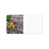 pika etiket (Voorkant)