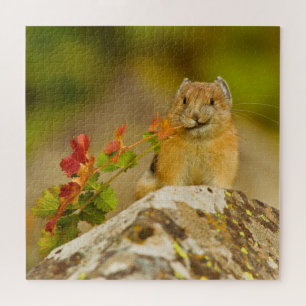 Pika Holding leves in mond Legpuzzel