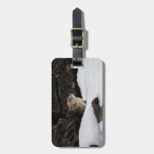 Pika in Sneeuw Label met Contactgegevens Bagagelabel (Voorkant verticaal)