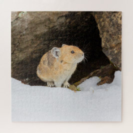 Pika in sneeuw legpuzzel