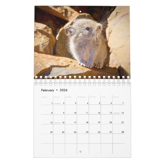 Pika Kalender (Feb 2026)