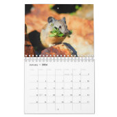 Pika Kalender (Jan 2026)