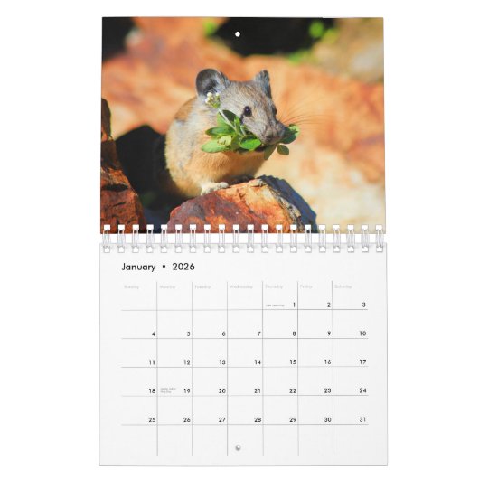 Pika Kalender (Jan 2026)