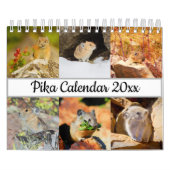 Pika Kalender (Hoes)