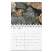 Pika Kalender (Mar 2027)