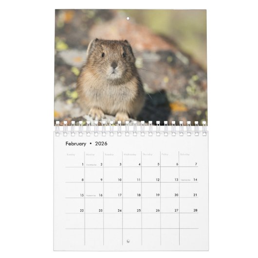 Pika Kalender (Feb 2026)