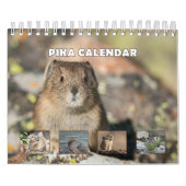 Pika Kalender (Hoes)