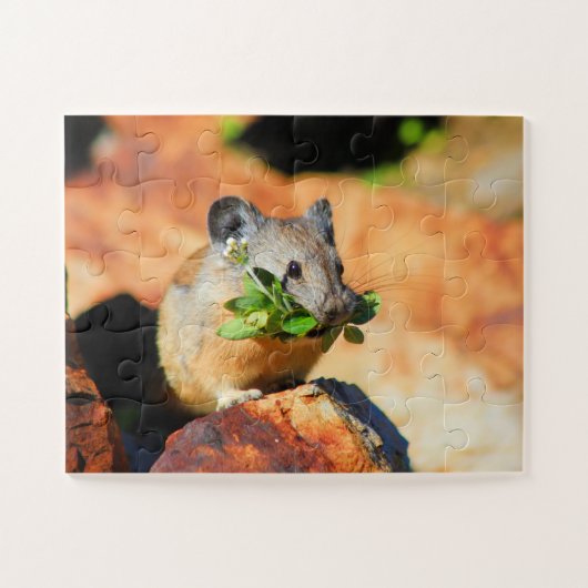 Pika kauwt op Planten Legpuzzel (Horizontaal)